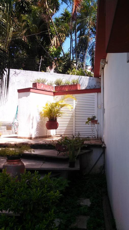 Comodita Sao Paulo Dış mekan fotoğraf